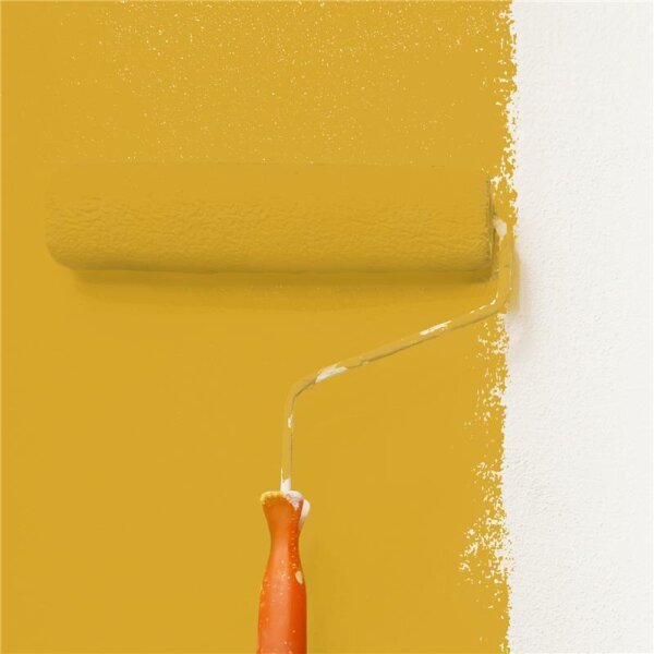 Wandfarbe Matt NCS-S-2060-Y10R WALLCOVER Colors
