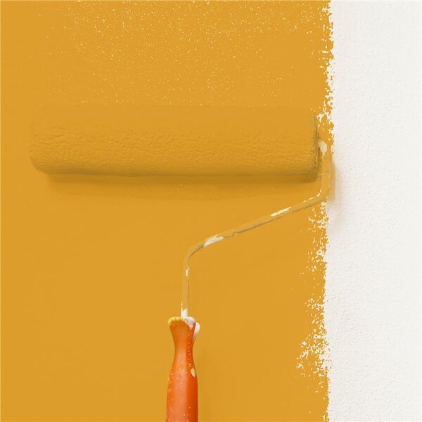 Wandfarbe Matt NCS-S-2060-Y20R WALLCOVER Colors