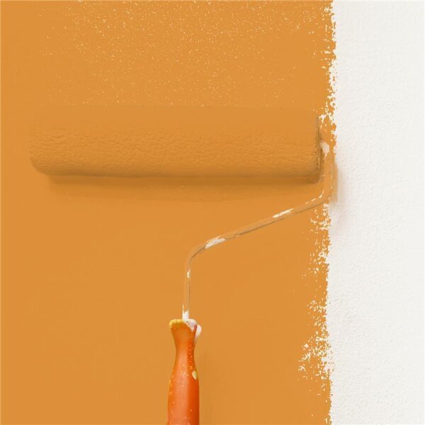 Wandfarbe Matt NCS-S-2060-Y30R WALLCOVER Colors