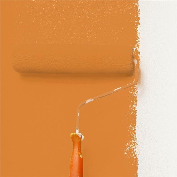 Wandfarbe Matt NCS-S-2060-Y40R WALLCOVER Colors