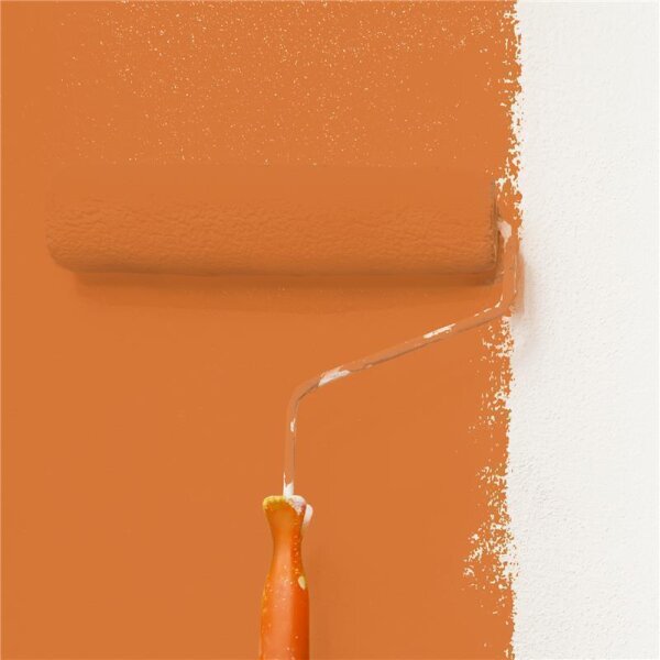 Wandfarbe Matt NCS-S-2060-Y50R WALLCOVER Colors
