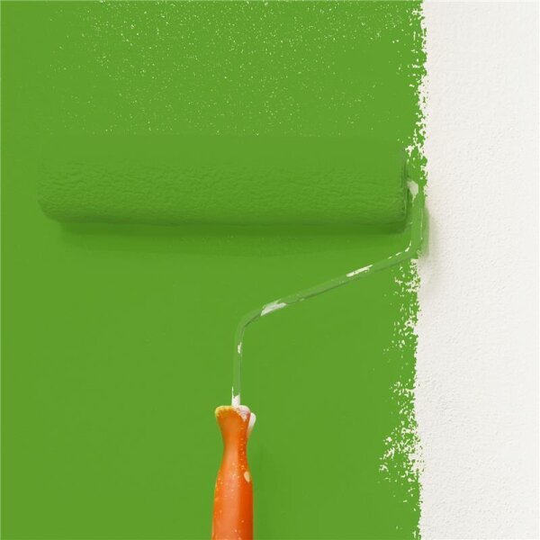 Wandfarbe Matt NCS-S-2070-G30Y WALLCOVER Colors