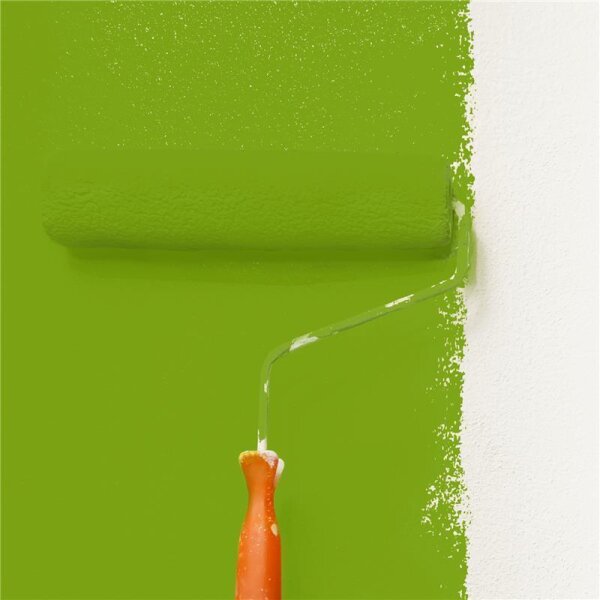 Wandfarbe Matt NCS-S-2070-G40Y WALLCOVER Colors