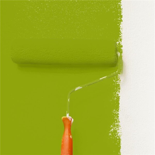 Wandfarbe Matt NCS-S-2070-G50Y WALLCOVER Colors