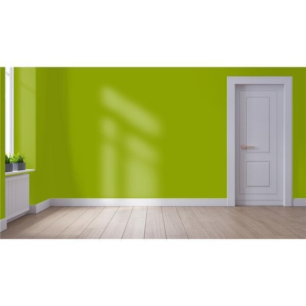 Wandfarbe Matt NCS-S-2070-G50Y WALLCOVER Colors