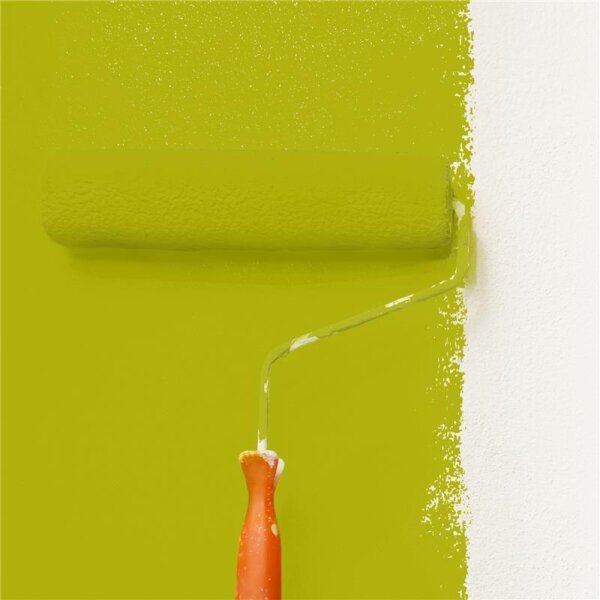 Wandfarbe Matt NCS-S-2070-G70Y WALLCOVER Colors