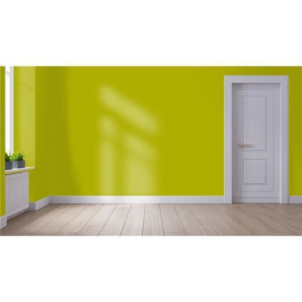 Wandfarbe Matt NCS-S-2070-G70Y WALLCOVER Colors