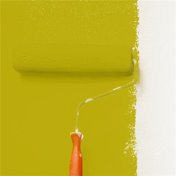 Wandfarbe Matt NCS-S-2070-G80Y WALLCOVER Colors