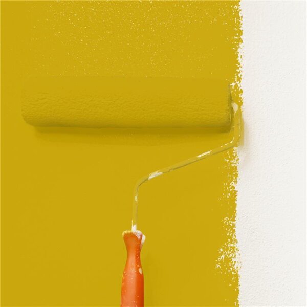 Wandfarbe Matt NCS-S-2070-Y WALLCOVER Colors