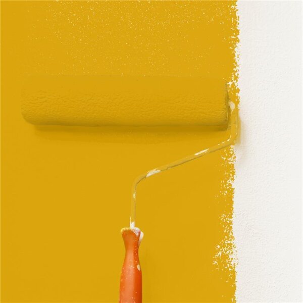 Wandfarbe Matt NCS-S-2070-Y10R WALLCOVER Colors