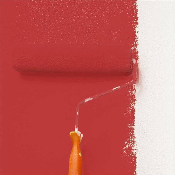 Wandfarbe Matt NCS-S-2070-Y90R WALLCOVER Colors