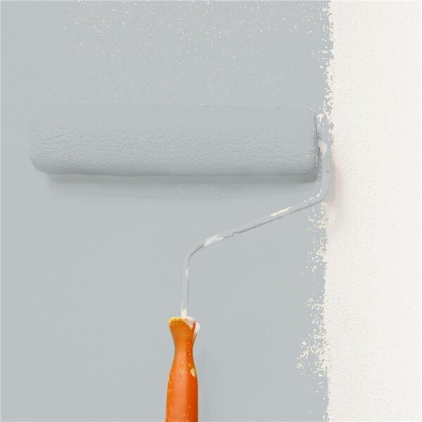 Wandfarbe Matt NCS-S-2502-B50G WALLCOVER Colors
