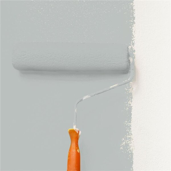 Wandfarbe Matt NCS-S-2502-G WALLCOVER Colors