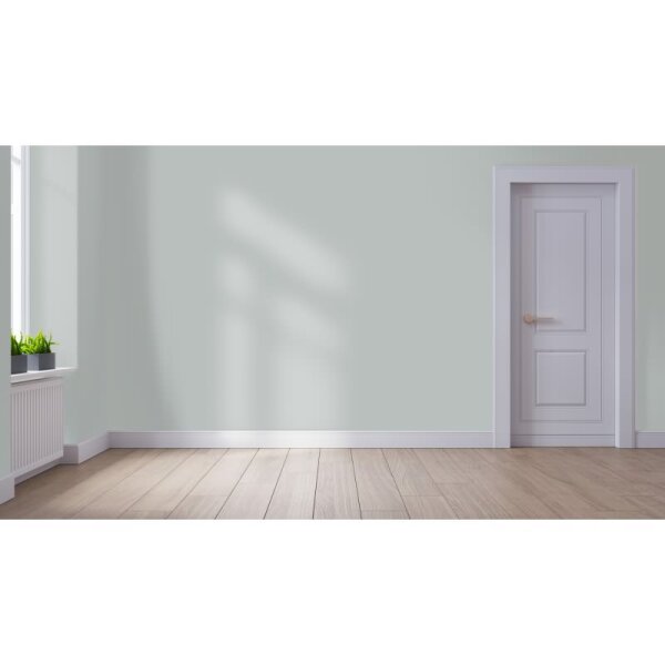 Wandfarbe Matt NCS-S-2502-G WALLCOVER Colors