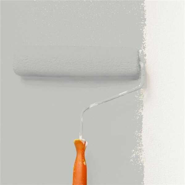 Wandfarbe Matt NCS-S-2502-G50Y WALLCOVER Colors