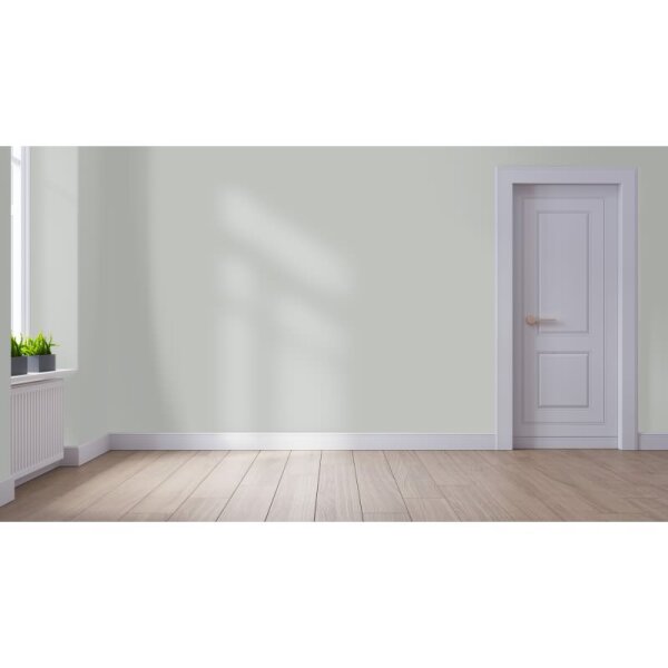 Wandfarbe Matt NCS-S-2502-G50Y WALLCOVER Colors