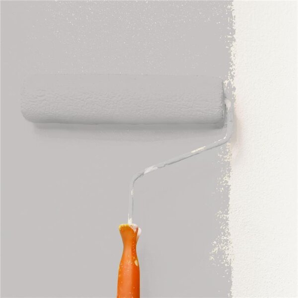 Wandfarbe Matt NCS-S-2502-R WALLCOVER Colors