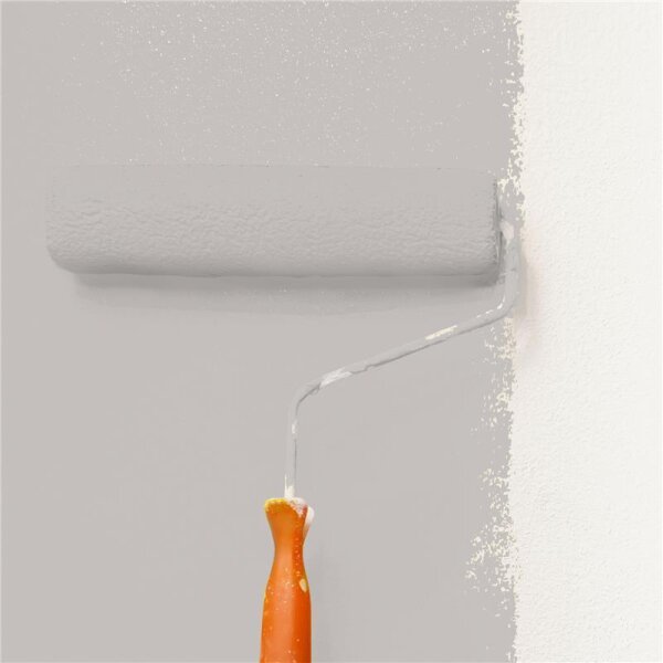 Wandfarbe Matt NCS-S-2502-Y80R WALLCOVER Colors