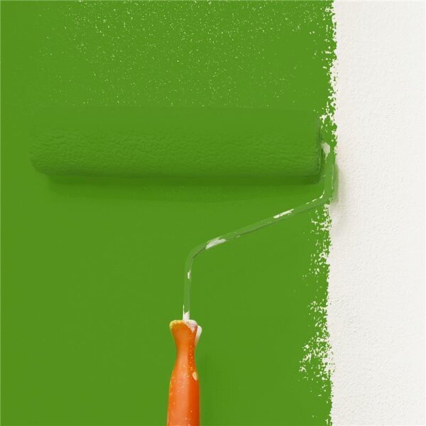 Wandfarbe Matt NCS-S-2570-G30Y WALLCOVER Colors