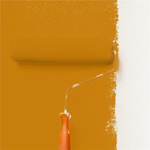 Wandfarbe Matt NCS-S-2570-Y30R WALLCOVER Colors