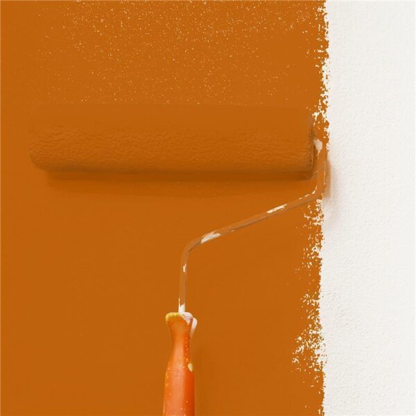 Wandfarbe Matt NCS-S-2570-Y50R WALLCOVER Colors