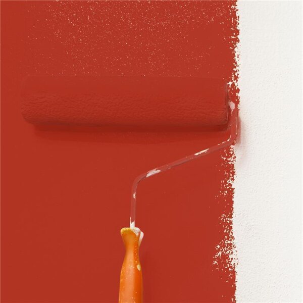 Wandfarbe Matt NCS-S-2570-Y80R WALLCOVER Colors