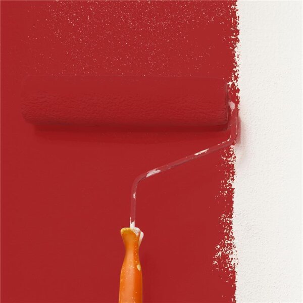 Wandfarbe Matt NCS-S-2570-Y90R WALLCOVER Colors