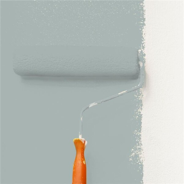 Wandfarbe Matt NCS-S-3005-B80G WALLCOVER Colors