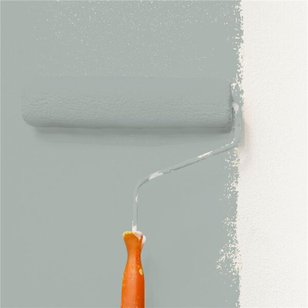 Wandfarbe Matt NCS-S-3005-G WALLCOVER Colors