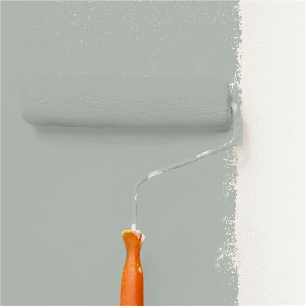 Wandfarbe Matt NCS-S-3005-G20Y WALLCOVER Colors