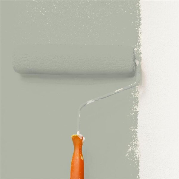 Wandfarbe Matt NCS-S-3005-G50Y WALLCOVER Colors
