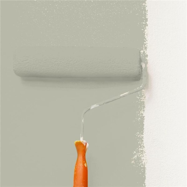 Wandfarbe Matt NCS-S-3005-G80Y WALLCOVER Colors