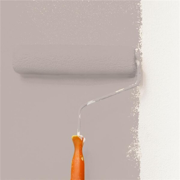 Wandfarbe Matt NCS-S-3005-Y80R WALLCOVER Colors