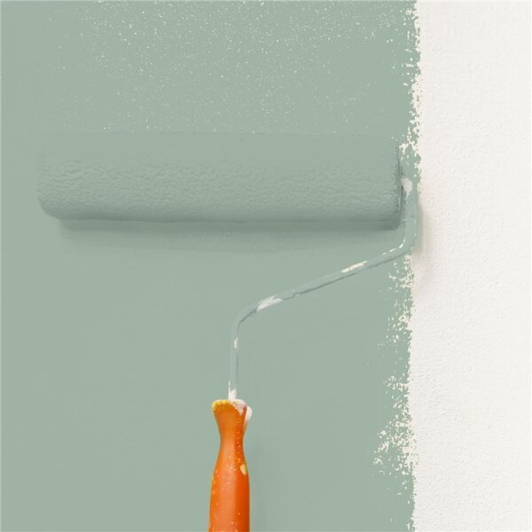 Wandfarbe Matt NCS-S-3010-G10Y WALLCOVER Colors