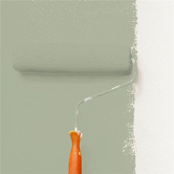 Wandfarbe Matt NCS-S-3010-G50Y WALLCOVER Colors