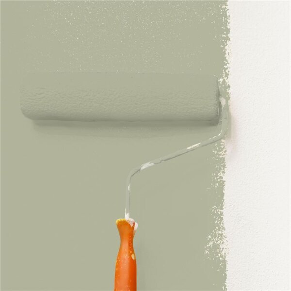 Wandfarbe Matt NCS-S-3010-G70Y WALLCOVER Colors
