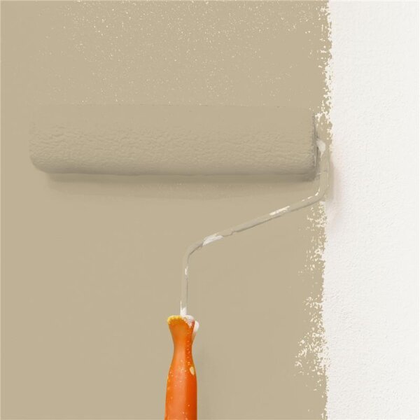 Wandfarbe Matt NCS-S-3010-Y10R WALLCOVER Colors