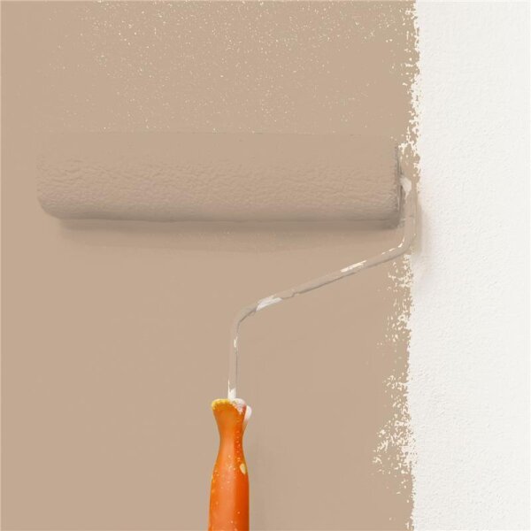 Wandfarbe Matt NCS-S-3010-Y40R WALLCOVER Colors
