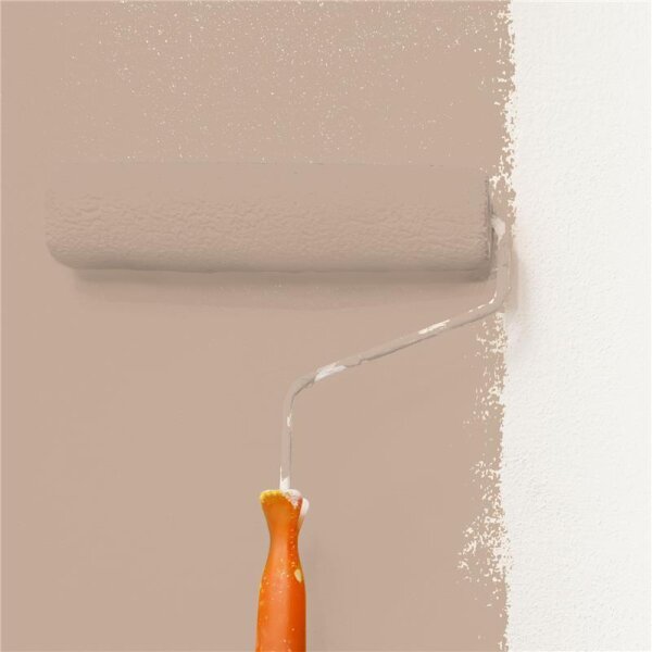 Wandfarbe Matt NCS-S-3010-Y50R WALLCOVER Colors