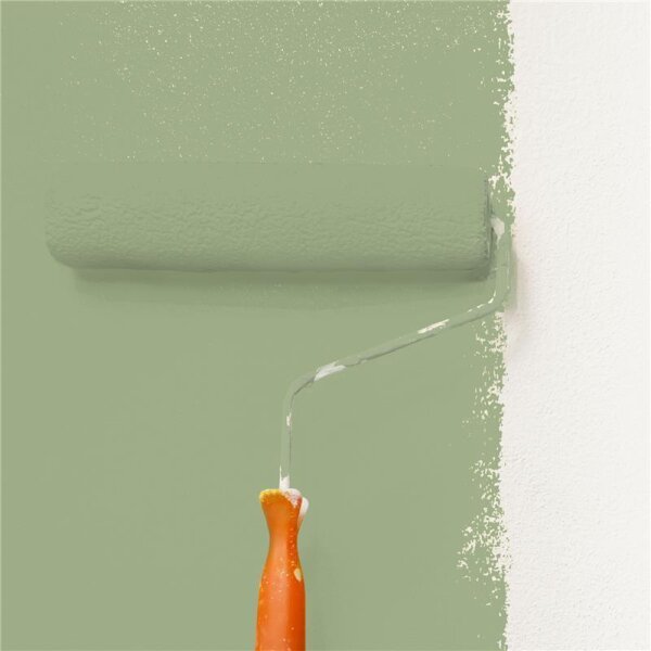Wandfarbe Matt NCS-S-3020-G40Y WALLCOVER Colors