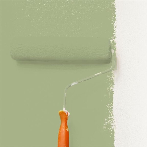 Wandfarbe Matt NCS-S-3020-G50Y WALLCOVER Colors