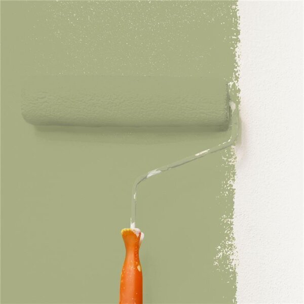 Wandfarbe Matt NCS-S-3020-G60Y WALLCOVER Colors