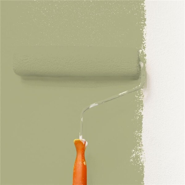 Wandfarbe Matt NCS-S-3020-G70Y WALLCOVER Colors