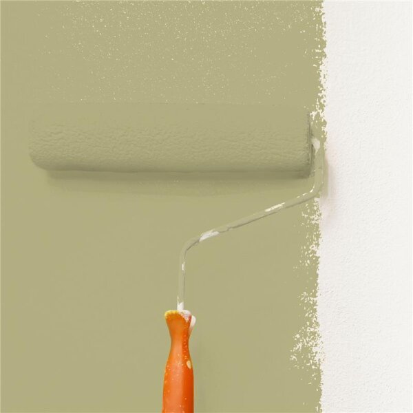 Wandfarbe Matt NCS-S-3020-G80Y WALLCOVER Colors