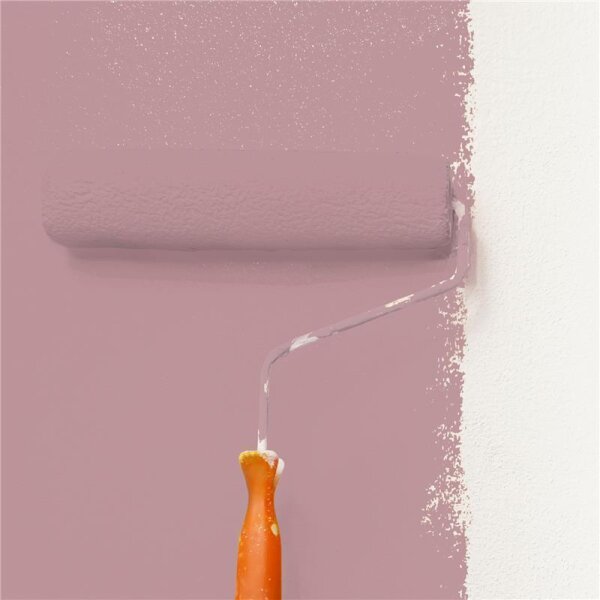 Wandfarbe Matt NCS-S-3020-R10B WALLCOVER Colors
