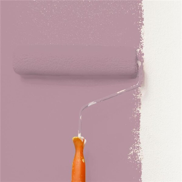 Wandfarbe Matt NCS-S-3020-R20B WALLCOVER Colors