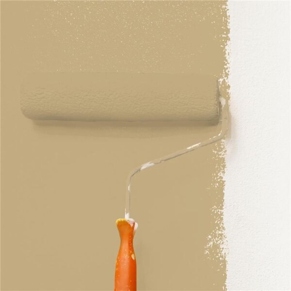 Wandfarbe Matt NCS-S-3020-Y10R WALLCOVER Colors