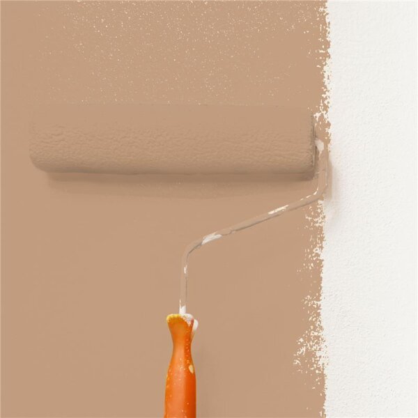 Wandfarbe Matt NCS-S-3020-Y40R WALLCOVER Colors