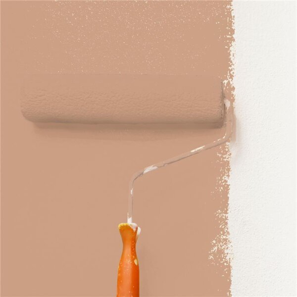 Wandfarbe Matt NCS-S-3020-Y50R WALLCOVER Colors