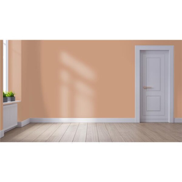 Wandfarbe Matt NCS-S-3020-Y50R WALLCOVER Colors